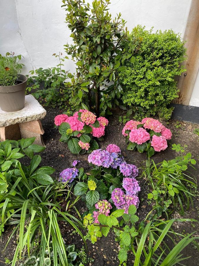 Appartement Vivier 4 Personnes Tout Confort Boulogne-sur-Mer Exteriör bild